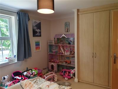 Picture 14